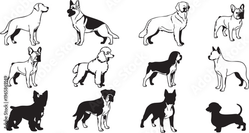 Various dog breeds depicted in black and white line and silhouettes dogs line silhouettes