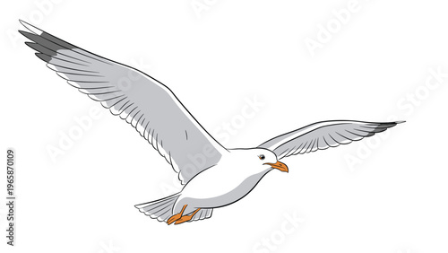 Single seagull is captured in mid flight with its wings spread wide against a plain white background in this clean vector style.