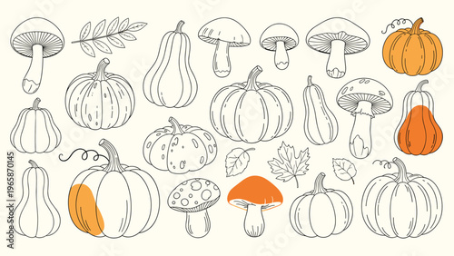 Comprehensive set of hand drawn autumn sketches include various pumpkins, mushrooms, and leaves with subtle orange accents.