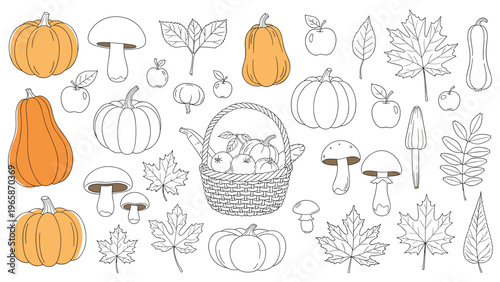 Assortment of autumn sketches features various pumpkins, mushrooms, apples, and falling leaves in a charming collection of seasonal fall elements.