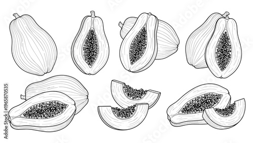 Papaya fruit collection with whole and sliced pieces showing seeds in black and white line art style for food and nutrition themes.