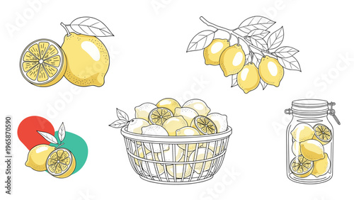 Set of lemon illustrations includes whole fruit, cross sections, a basket full of citrus, and a glass jar filled with lemons for kitchen decor.