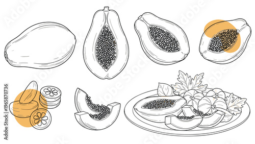 Assortment of papaya illustrations includes whole fruit, slices showing the seeds, and pieces served on a plate with decorative leaves.