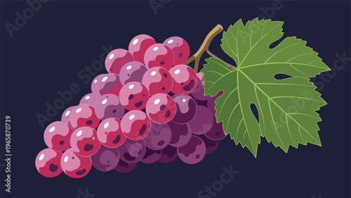 Large bunch of ripe red grapes with a single green vine leaf attached against a dark blue background in a modern flat design style.