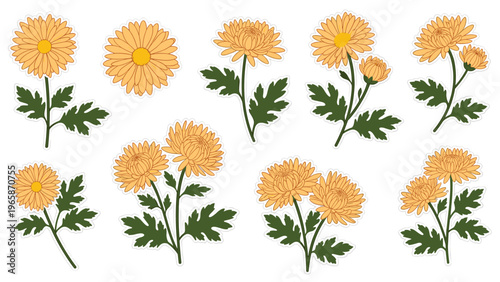 Collection of orange chrysanthemum flowers with green leaves isolated on a white background for various autumn floral design projects.