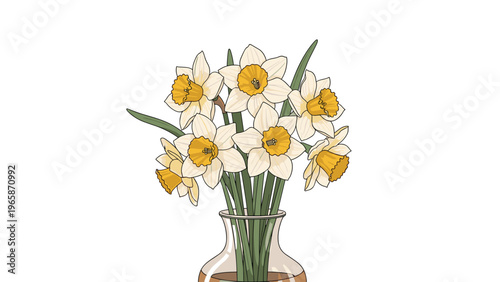 Bright yellow and white daffodils in a clear glass vase against a white background for spring season and home interior decoration themes.