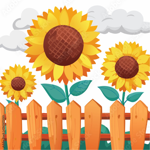 Bright sunflowers blooming behind a rustic wooden fence on a sunny day