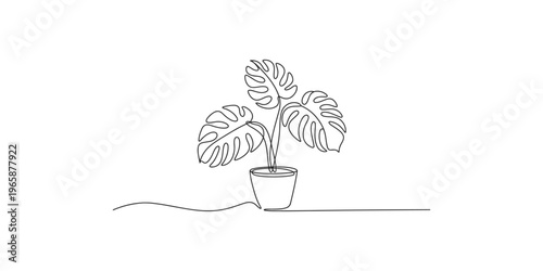 Monstera Deliciosa Plant in a Pot Line Drawing art illustration minimalist botanical tropical indoor houseplant