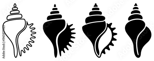 Spiraled seashells and conch shapes from the ocean, tropical marine life elements for beach and coastal decor, Seashell shellfish marine dwellers set