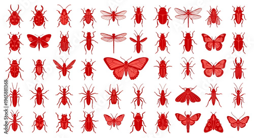 Collection of various red insects on white background beetles butterflies moths dragonflies bugs insect entomology