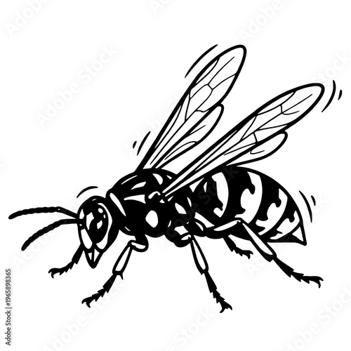 Bee silhouette vector design