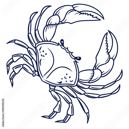 Aggressive crab stance line art showing powerful claws and intricate shell patterns for mascot design sport team logos and ocean wildlife education