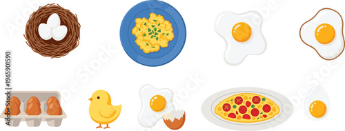 Cartoon Collection of Eggs in Different Forms Including Scrambled, Fried, Eggs in a Nest, Chick, and Egg Dishes