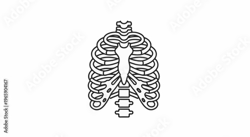 Black outline of a human rib cage with sternum and spine
