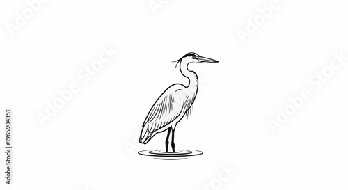 Elegant heron stands serenely in shallow water, illustrated