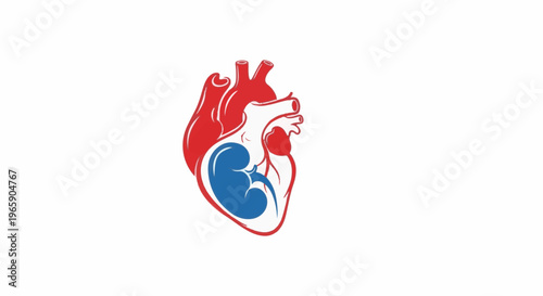 Stylized heart with blue embryo silhouette inside
