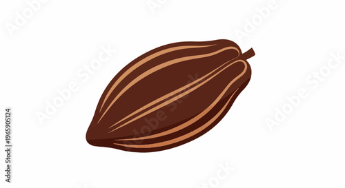 Brown, ridged cocoa pod with lighter brown stripes on a white background