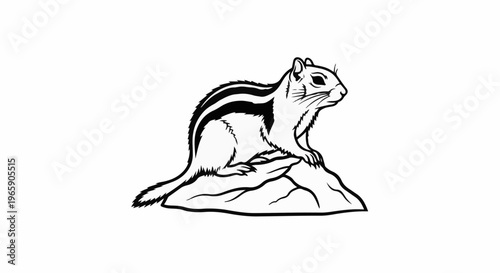 Black and white drawing of a chipmunk on a rock