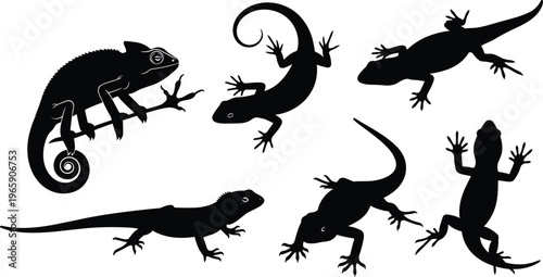 Black silhouette illustration of six reptiles including lizards and chameleon in diverse poses, showcasing animal diversity, body shapes, and natural design