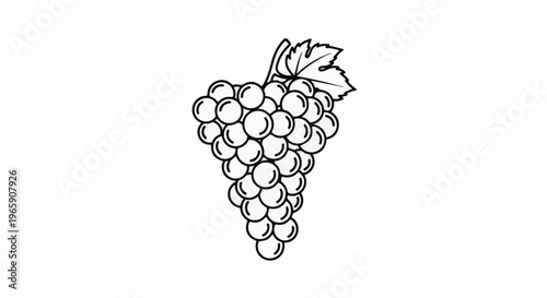 Simple line drawing of a bunch of grapes with a leaf