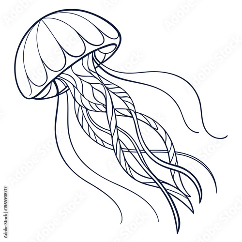 Jellyfish vector illustration in outline style for coloring book or tattoo art simple black and white drawing of marine creature