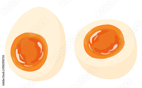 半熟ゆで卵の断面のイラスト ベクター素材