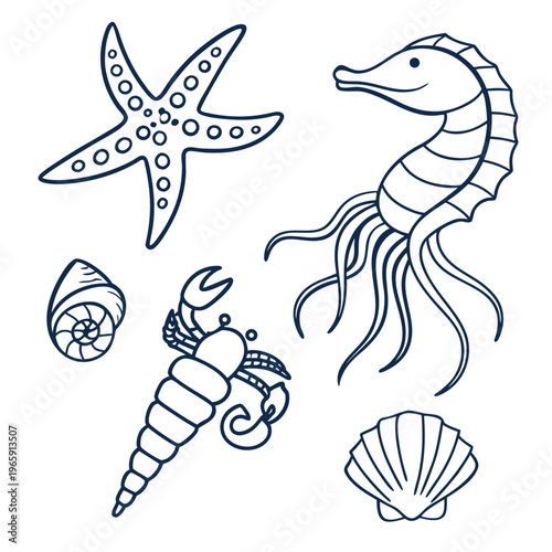 Oceanic fauna set with starfish seahorse hermit crab and various seashells in line drawing style for coloring pages and nautical theme illustrations