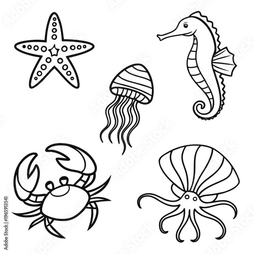 Outline marine creatures starfish jellyfish seahorse crab and mollusk black and white graphic vector illustration