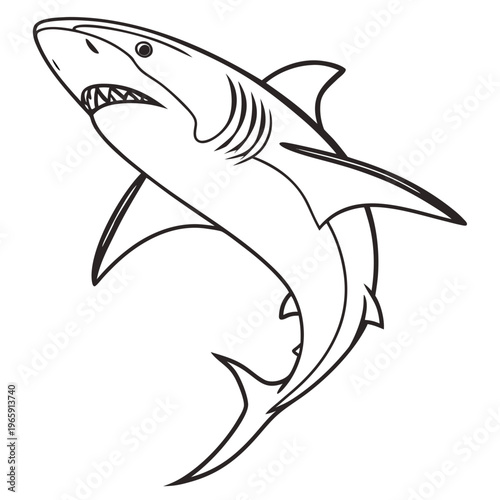 Shark coloring page for kids with great white shark illustration isolated on white background depicting underwater marine life and ocean creature