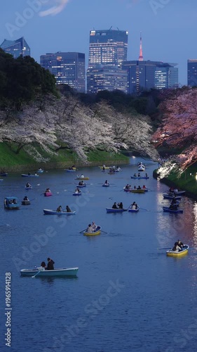 千鳥ヶ淵　桜　夜桜　縦動画