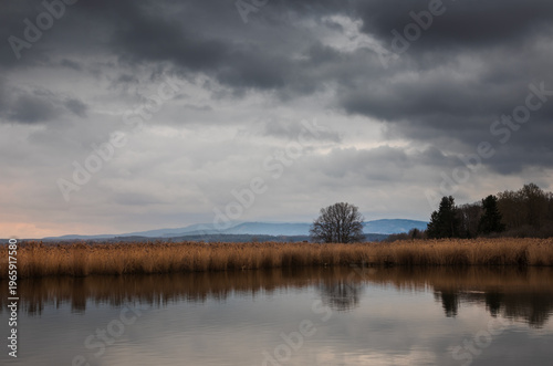 Leafless tree and dry high grass on pond edge under dramatic storm cloud sky. Czech landscape bacground