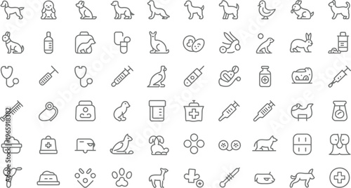 40 Pet Care Icons, Veterinary Medicine Symbols, Animal Health Signs, Line Style Graphics