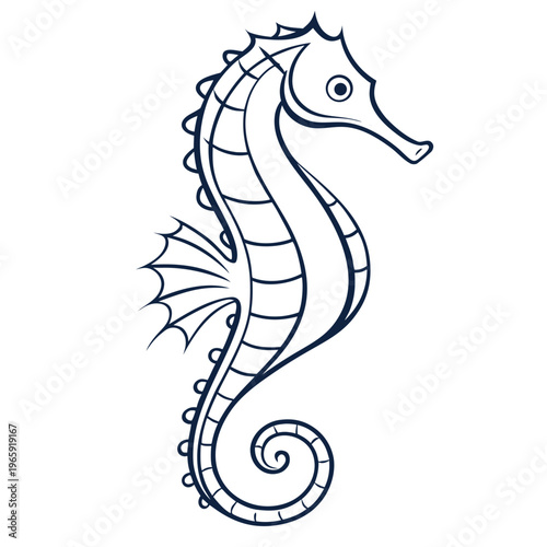 Photos Minimalist seahorse vector illustration with dark blue outlines isolated on whit