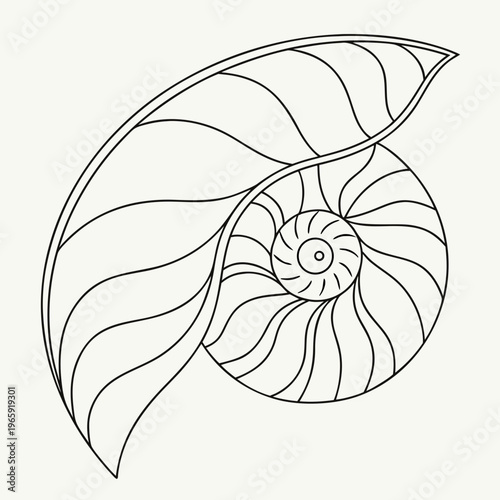 Hand drawn nautilus seashell line art vector with wavy internal chambers and central eye detail suitable for coloring pages and educational materials