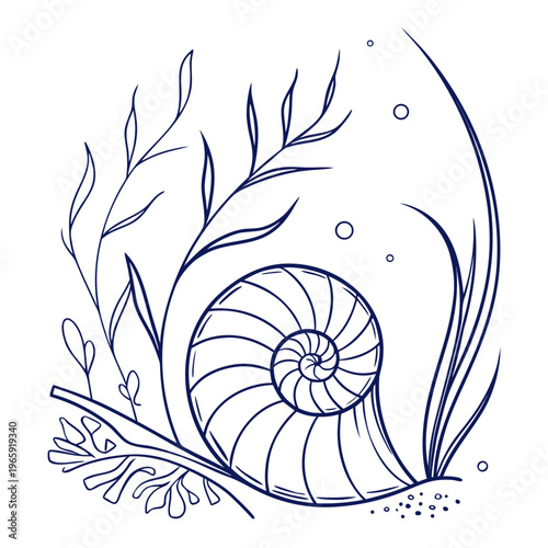 Underwater ecosystem doodle art with spiraling conch shell, sea plants, and bubbles, marine life line drawing illustration