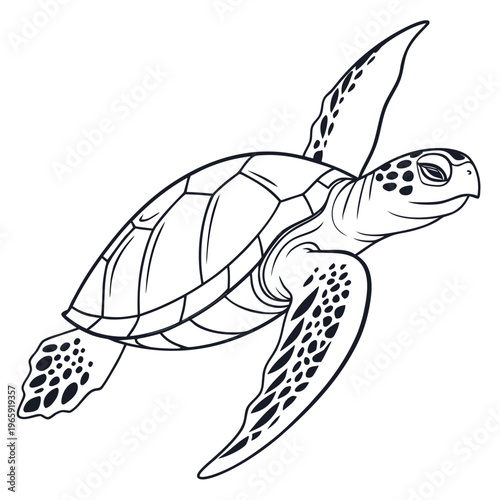 Sea turtle swimming gracefully in ocean blue water with flippers extended in elegant motion, beautiful marine life underwater scene