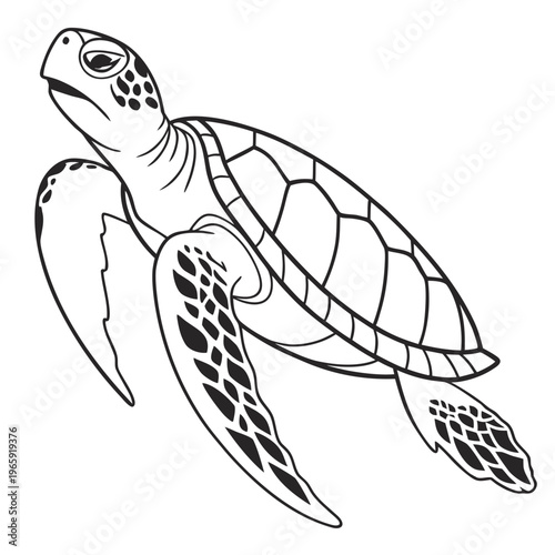 Sea turtle in motion, side view of marine reptile, stylized flippers and shell details, underwater animal, ocean dweller graphic