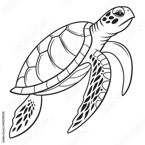 Classic line drawing of green sea turtle swimming elegantly marine animal detailed shell pattern flippers oceanic wildlife vector