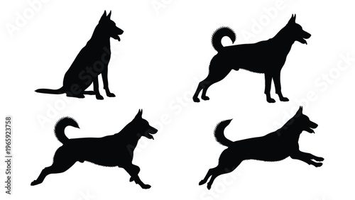 Four black silhouettes depict a german shepherd dog in various poses including sitting standing and running silhouette high quality