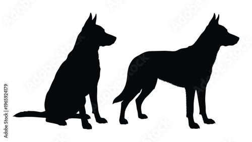 Two german shepherd dogs are depicted in a stark black form showcasing their distinct postures a silhouette high quality
