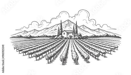 Black and white of a vineyard with mountain backdrop and farmhouse grapevines mountains