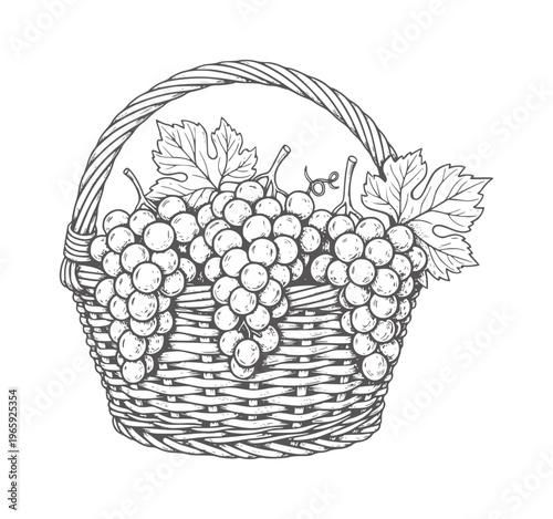 Black and white of a wicker basket filled with grapes and leaves vine