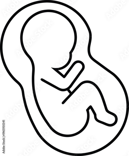 950 human fetus twelve weeks curled pose vector illustration on transparent background