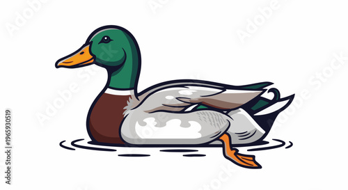 A detailed illustration of a mallard duck swimming with its webbed feet visible