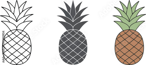 Minimalist pineapple fruit vector icons set featuring outline silhouette and color flat designs with green leaves isolated on white background 