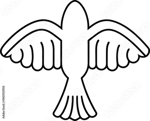 933 bird skeletal wing bone structure with feathers vector illustration on transparent background