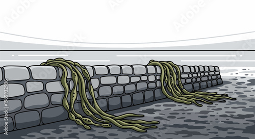 A stone wall is partially covered by thick, trailing seaweed, with water reflections visible