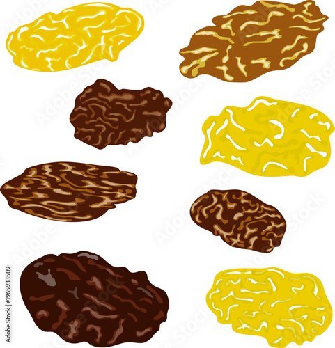 Raisins vector set isolated on transparent background. Dried grapes collection with golden and dark brown berries. Food design elements for muesli packaging, bakery and healthy snacks