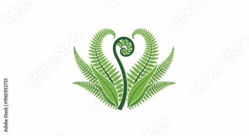 A delicate artistic depiction of a fern unfurling its fronds in an elegant, symmetrical design