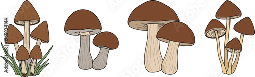 Mushroom Collection with Brown and Beige Fungi, Featuring Different Shapes and Sizes, Ideal for Nature, Forest, and Woodland-Themed Designs